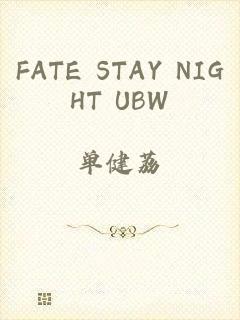 FATE STAY NIGHT UBW